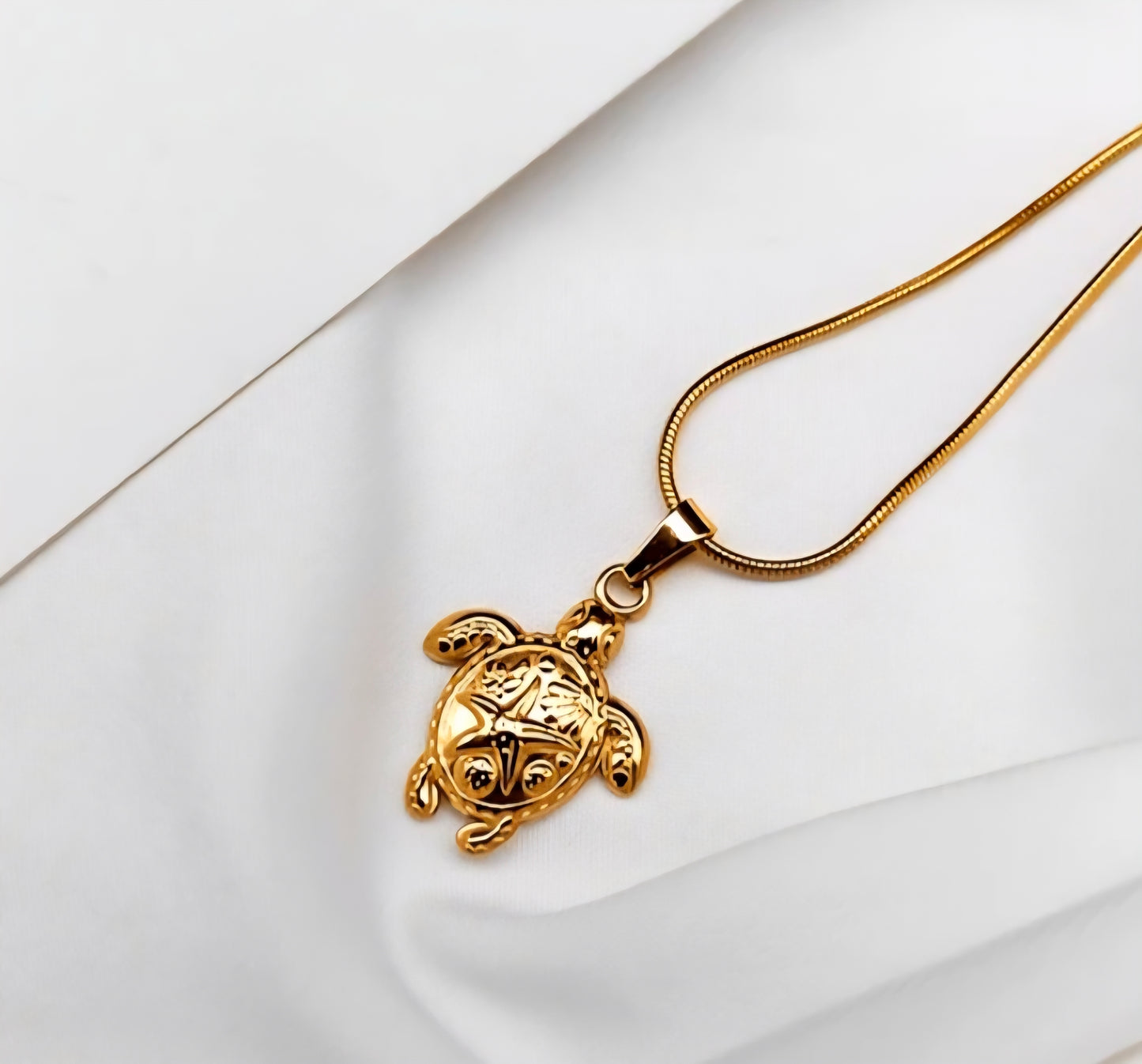 Goodluck  Fengshui Necklace